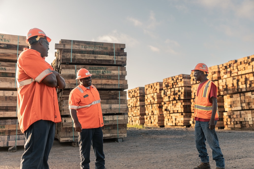 Three workers in orange safety gear laugh together while standing in front of large pallets of timber.