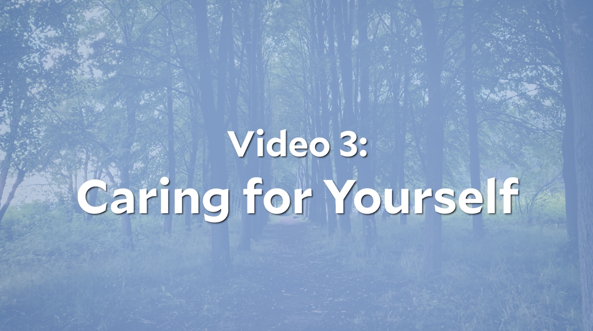  video