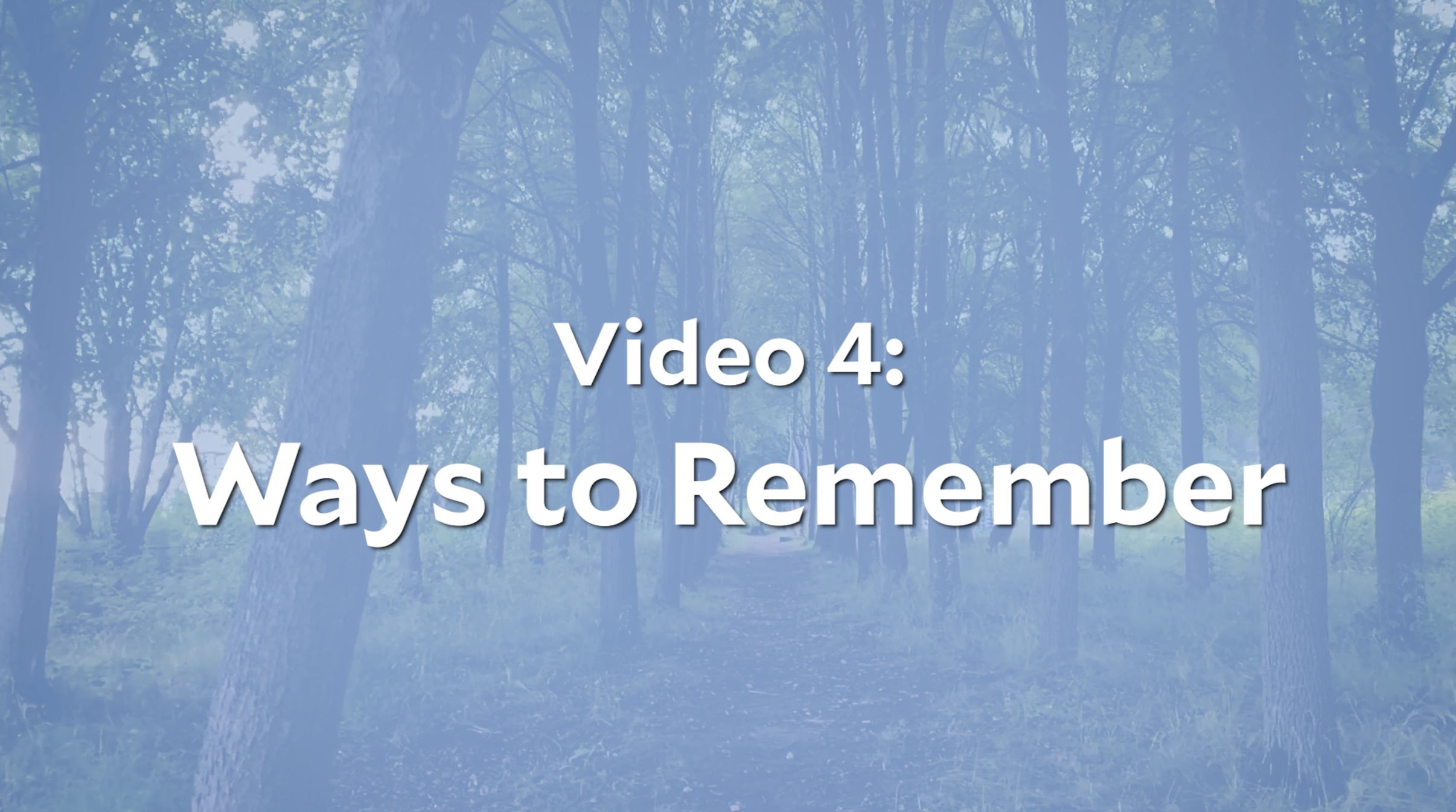  video